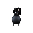 Compresor 7,5 Hp 300 L 380 V CEV75300 en "V" EVEREST